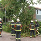Tak van boom gewaaid Gouderegenstraat Noordwijk